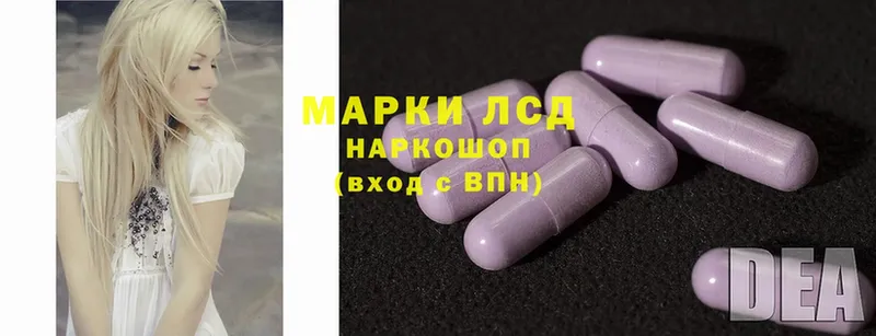 kraken как войти  Оса  Лсд 25 экстази ecstasy 